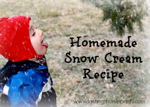 Homemade Snow Cream Recipe